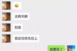 盐湖融资清欠服务